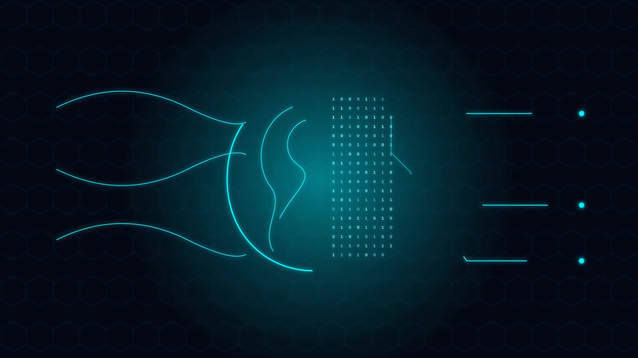 Digital Human Face Biometric Scan Interface