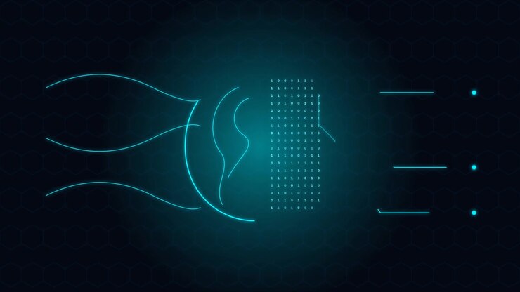 Digital Human Face Biometric Scan Interface