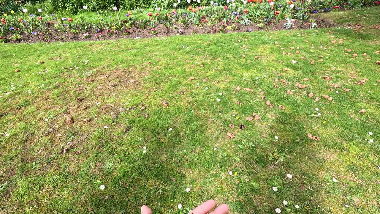 A hand tossing a pine cone in Paris