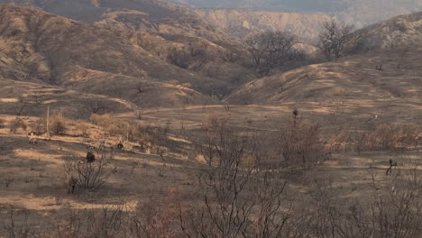 Daños-Por-Incendio-Debido-A-Un-Incendio-En-La-Montaña-En-Hemet