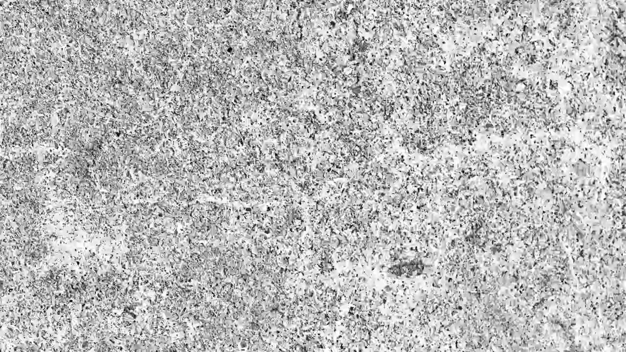 Abstract Black and White Grainy Texture Background Loop