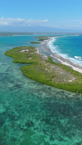 shallow reef, islets with mangroves, playa caobita, azua, dominican republic. aerial forward, vertical format, copy space