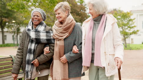 Senior,-Gespräch-Und-Ruhestand-Mit-Freunden