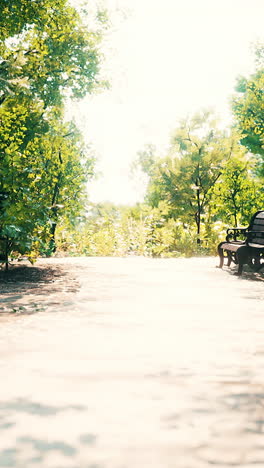 park bench in sunny day