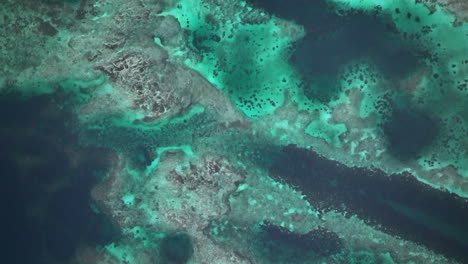 aerial view of a stunning coral reef