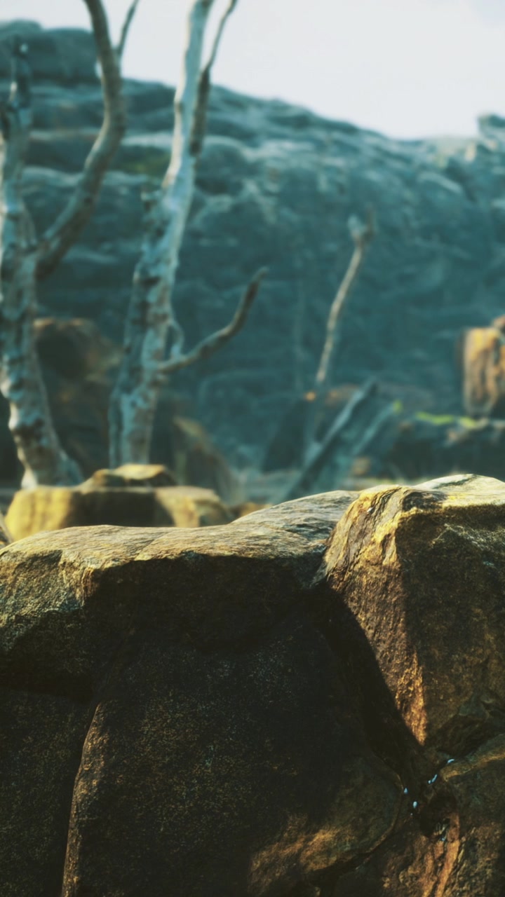 Rugged rocks and ancient trees in a serene untouched landscape
