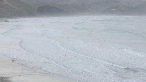 surfers are conquering the waves at castle point beach in new zealand, wide shot