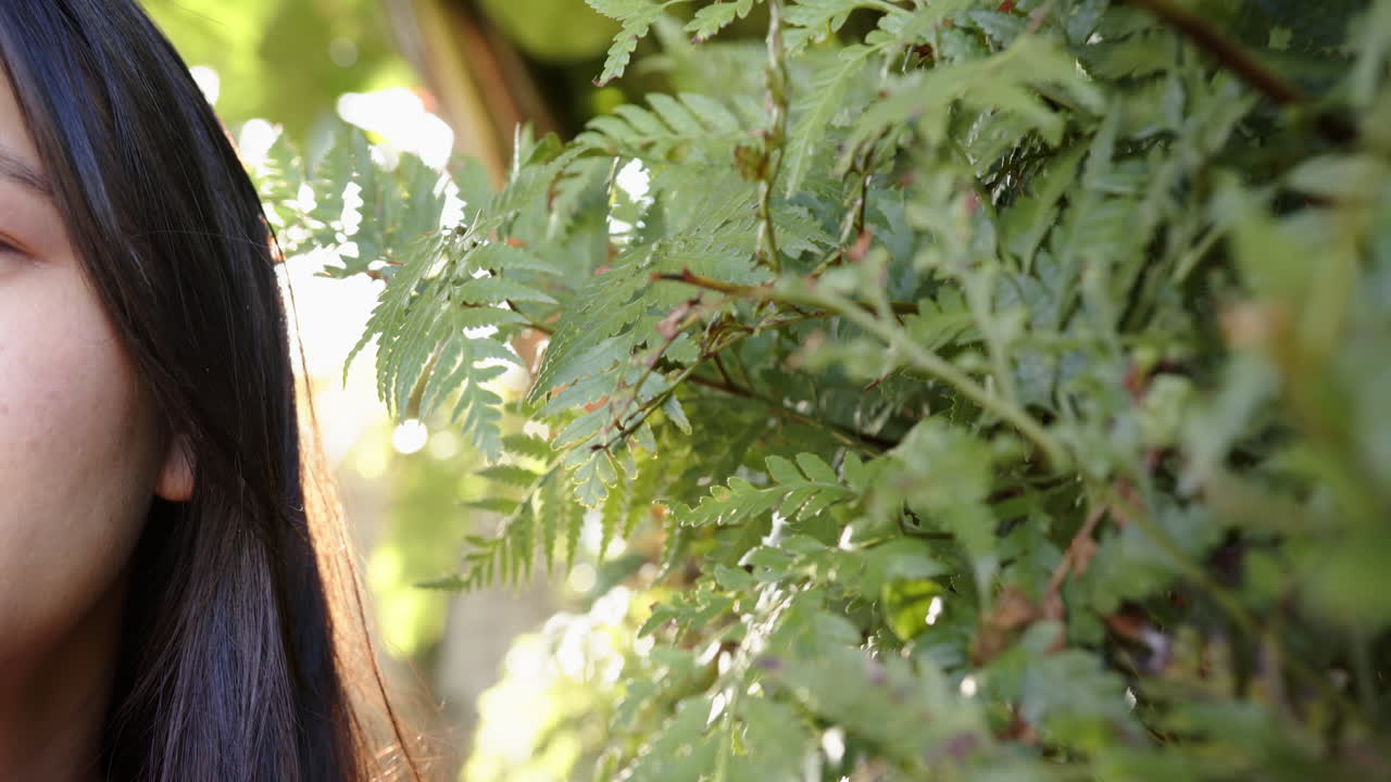 Admiring lush green foliage, woman enjoying nature in outdoor setting