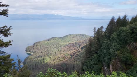 view from cliffside in hoonah alaska of old growth forest and water
