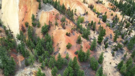Revealing-aerial-shot-of-the-devastating-deforestation-happening-at-Chache-Creek