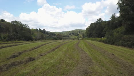 Hay-is-harvested-in-the-mountains-of-North-Carolina-in-mid-summer