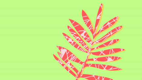 animación de hojas rojas y espacio de copia moviéndose sobre fondo verde