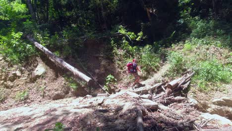 male backpacker hikes through sunny clearing in dense tropical forest