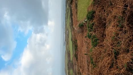 VERTICAL-Holyhead-island-moorland-view-panning-across-breakwater-harbour-landscape-from-mountain-top