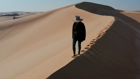 person walking on a desert sand dune