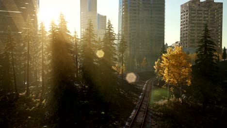 skyscrapes-and-the-forest-park-at-sunrise