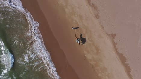 aerial looking down at male walking camel on beach with waves breaking at balochistan