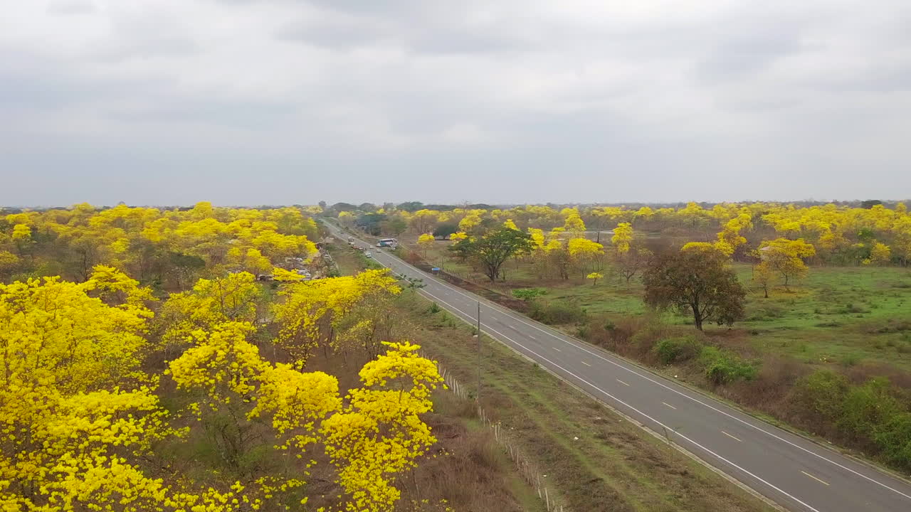 vista aerea de hacienda las habras, en colimes, ecuador-1