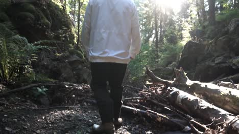 hiking in the forest