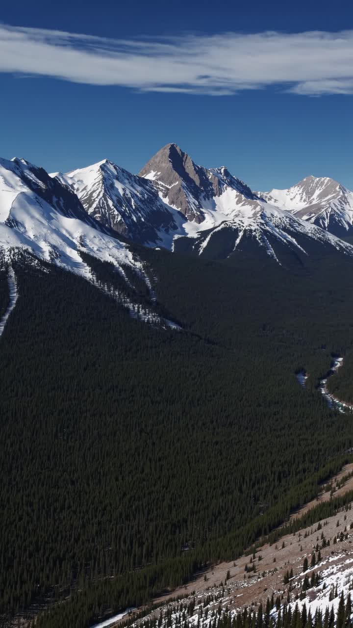 Aerial view of snow-capped mountains and dense forest under a clear blue sky, perfect for a nature