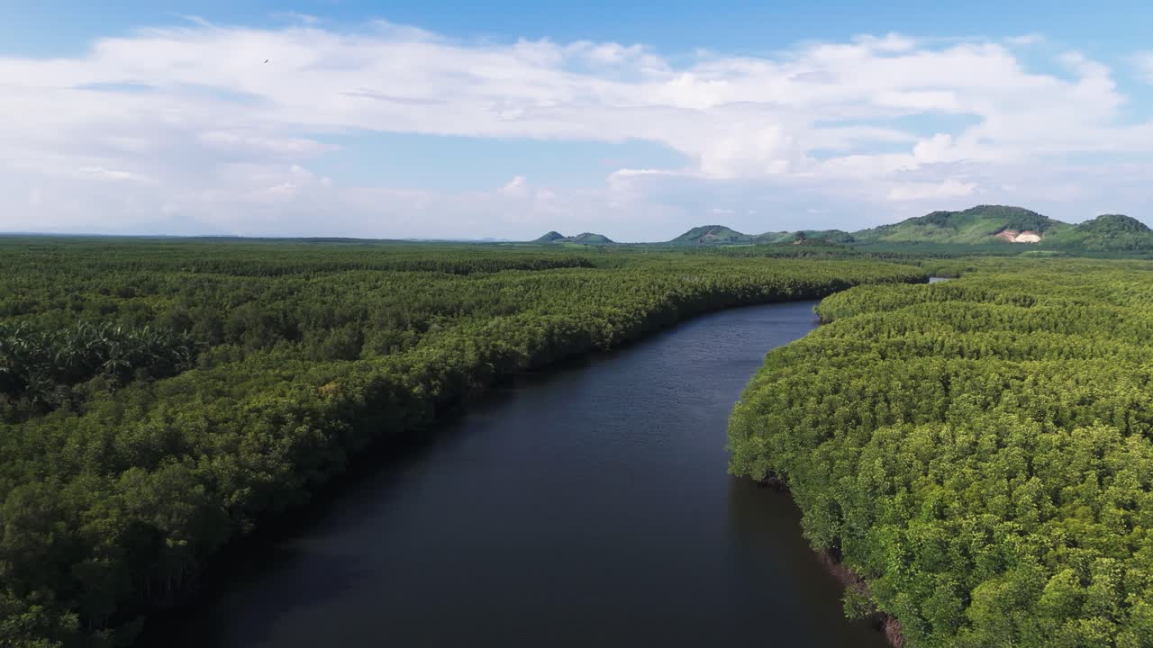 Drönarvy över flod, tät mangroveskog och landskapet i Krabi