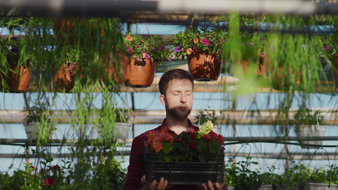 Gardener Holding Crate of Colorful Flowers in Greenhouse