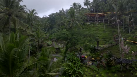 alas harum, ubud bali indonesia