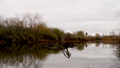 time lapse of clouds over a still lake with trees and foliage, pan down