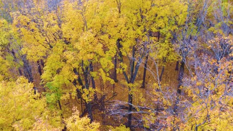 oka national park in quebec, canada during autumn with leafs changing colors. aerial shot during a cloudy day