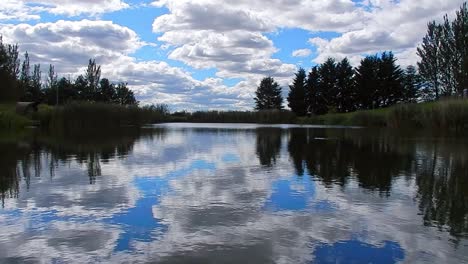 Blue-lake-water-bird-swimming-across-mirror-reflection-bright-scenic-cloudy-sky