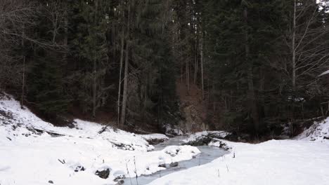 Paisaje-Del-Río-Del-Bosque-Invernal-En-La-Nieve---Plano-Amplio-Y-Estático