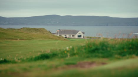 Golf-Clubhaus-Hintergrund-Hinter-Grünen-Blumen,-Die-Im-Wind-Auf-Irish-Links-Coastal-Golf-Course-Mit-Meer-Im-Hintergrund-Wehen