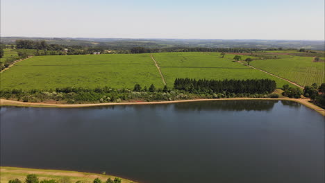 Mate-plantation-next-to-water-source,-aerial-view