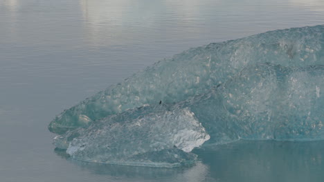 Nahaufnahme-Von-Gletschern,-Die-Im-Eisigen-Wasser-Der-Gletscherlagune-Jökulsárlón-In-Island-Schwimmen