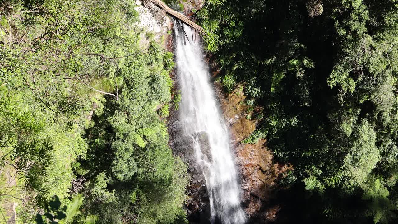 imágenes de un avión no tripulado de una cascada en un bosque exuberante