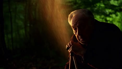 elderly man in the forest