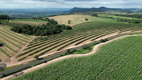 Agriculture-Field-At-Country-Scene-In-Rural-Landscape-Countryside