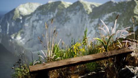 Frisches-Gras-An-Einer-Großen-Felsigen-Klippe-Im-Ozean