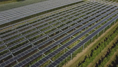 Combinar-Paneles-Solares-Y-Agricultura-Para-Energía-Renovable-En-Grafschaft,-Alemania---Sistema-Agrivoltaico,-Sobrevuelo-De-Drones