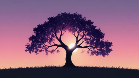 tree silhouette against a gradient sunset sky