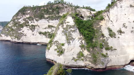 Baumhaushütten-Am-Meer-Auf-Hoch-Aufragenden-Meeresklippen-Am-Rumah-Tree,-Nusa-Penida