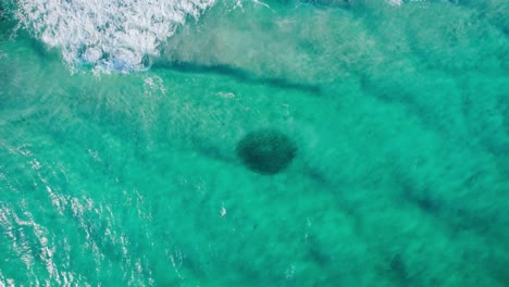 Aerial-of-a-bait-ball-of-fish-flying-up-and-revealing-the-shore-and-rocky-coastline