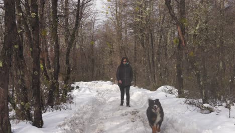 woman and dog walking along a snowy path in a forest in patagonia, towards the camera