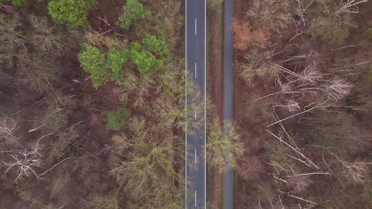 vista aérea de un camino vacío de asfalto oscuro que cruza un bosque misterioso. increíble vista aérea vuelo