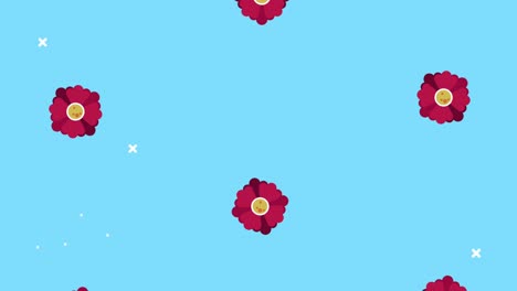pattern of flowers decorative animation in blue background