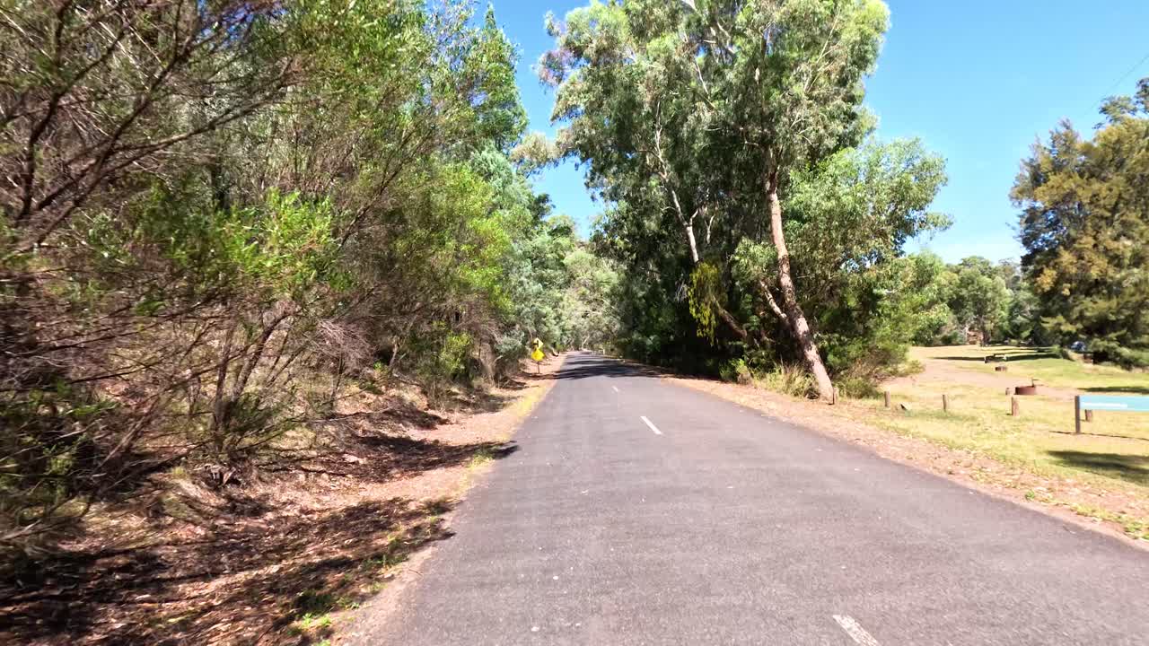 숲 속 도로 를 가로질러 운전 하는 것