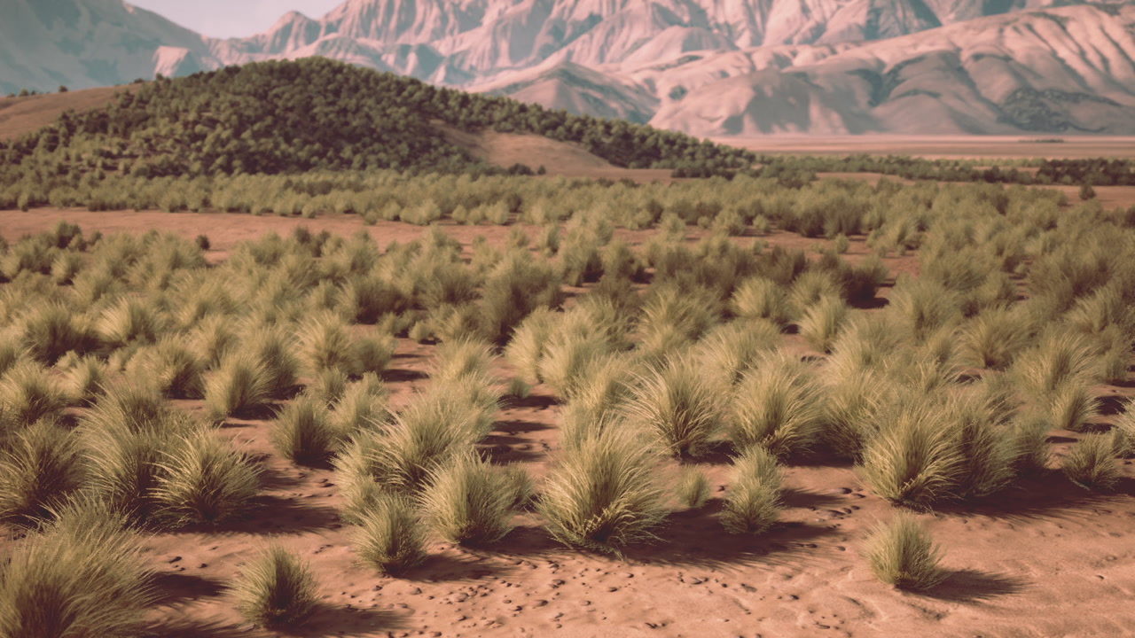Serene desert view dominated by rugged earth and isolated vegetation