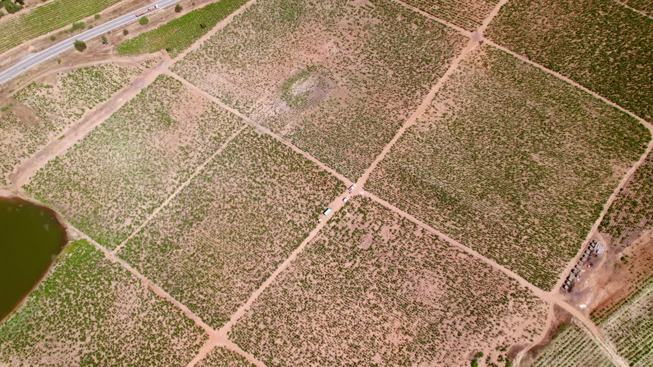 toma de arriba hacia abajo de viñedos y campos circundantes en el valle del maule, chile.