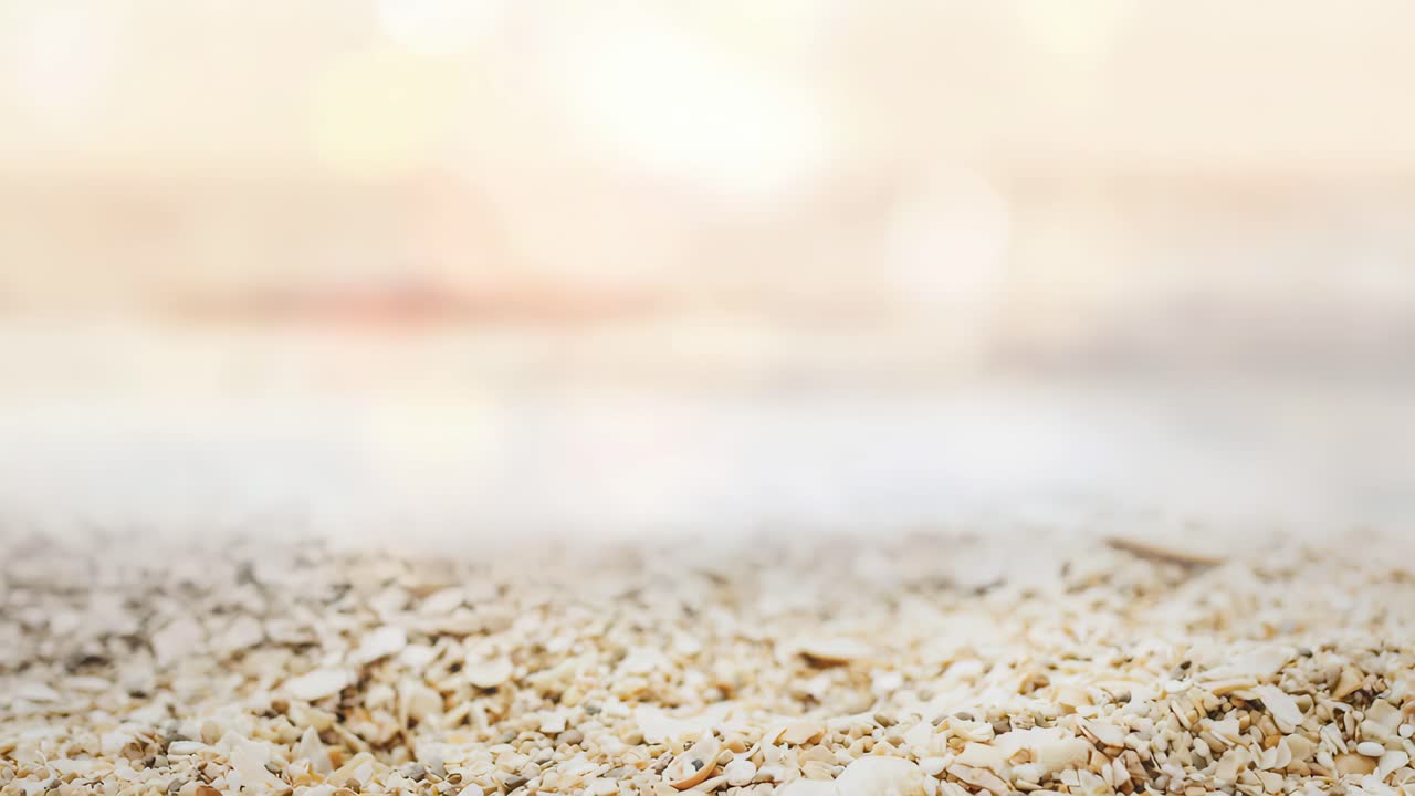Close-up of sandy beach with shells, captured at a low angle