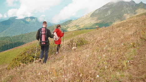 hikers enjoying a mountain view